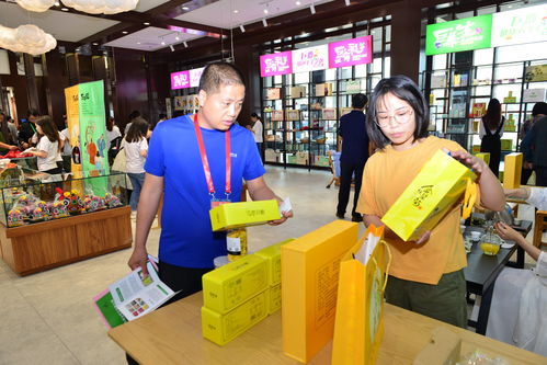 巨鹿新章 禮儀服務助力第二屆旅發大會，繪就全域旅游新畫卷