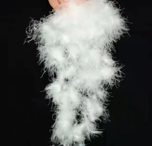 寶升家紡 年產(chǎn)20萬件羽絨制品項目 助跑 預(yù)計年產(chǎn)值同比增長233