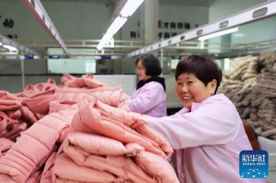河南范縣 羽絨及制品產(chǎn)銷(xiāo)兩旺，工人干勁十足